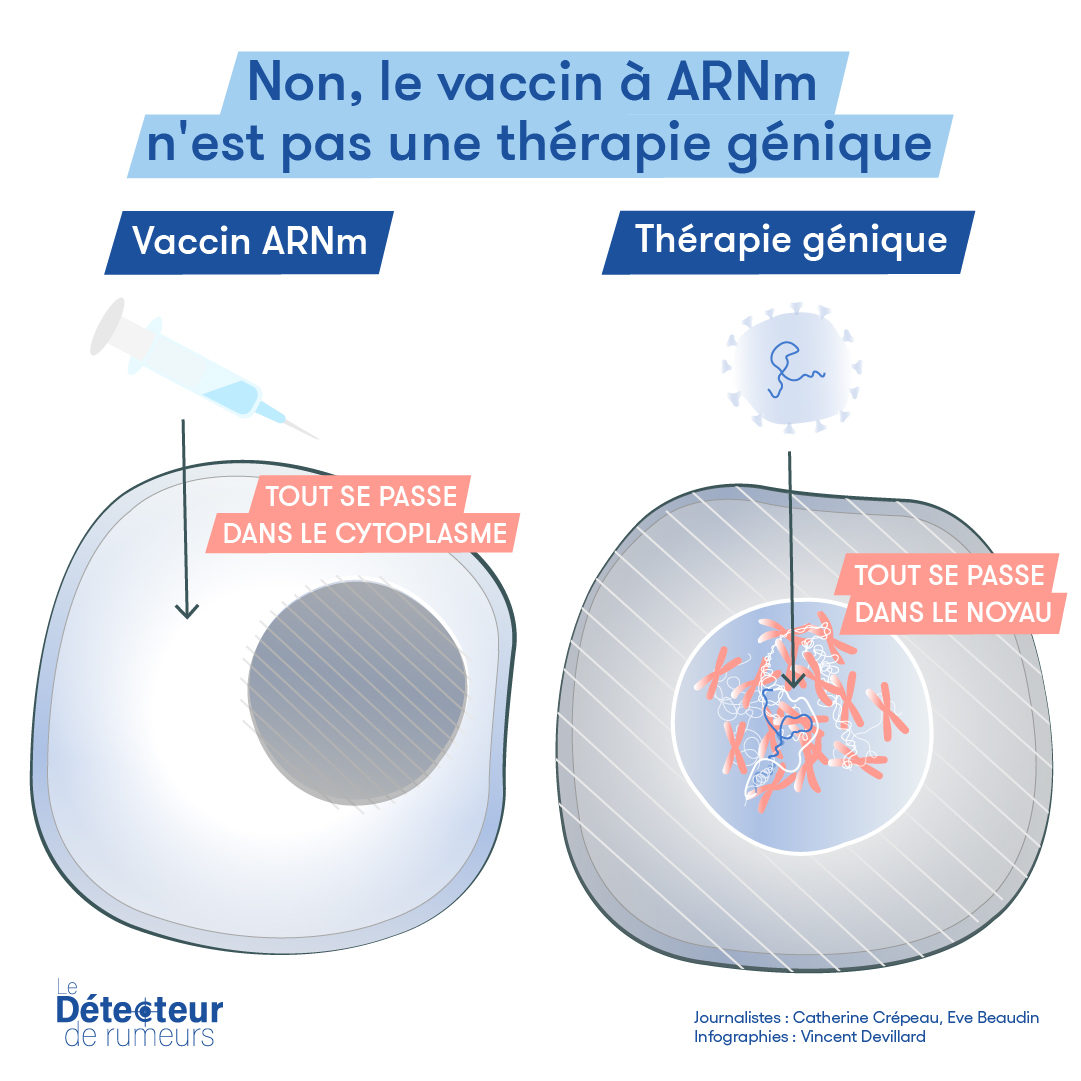 Infographies scientifiques pour le Détecteur de rumeurs et l’agence Science-Presse